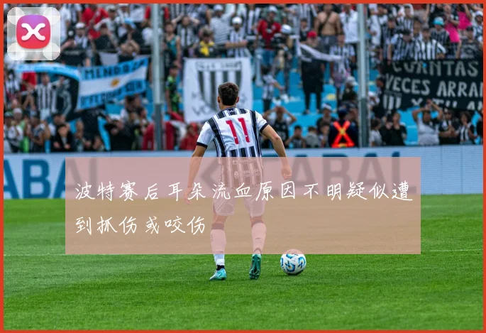波特赛后耳朵流血原因不明疑似遭到抓伤或咬伤